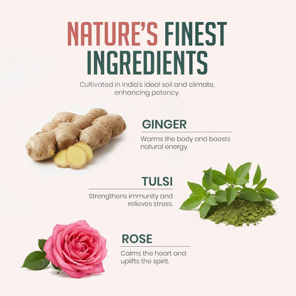 SarvaRitam Tulsi Ginger Rose Herbal Blend – Ayurvedic Wellness Drink