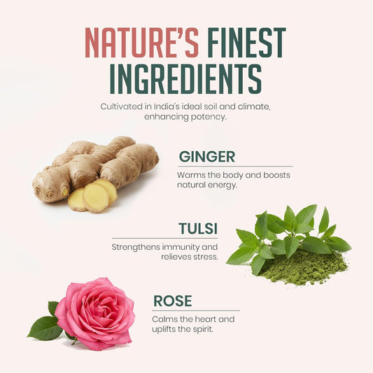 SarvaRitam Tulsi Ginger Rose Herbal Blend – Ayurvedic Wellness Drink